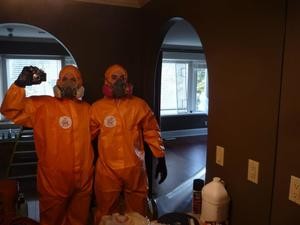 911 Restoration Mold Removal Team