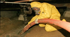 Water Damage Freeburg Technician In Crawlspace